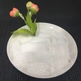 질산나트륨이 심혈관계에 미치는 영향은 무엇인가요?